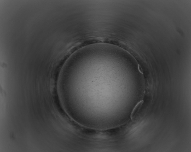 X0000090870656200708031010