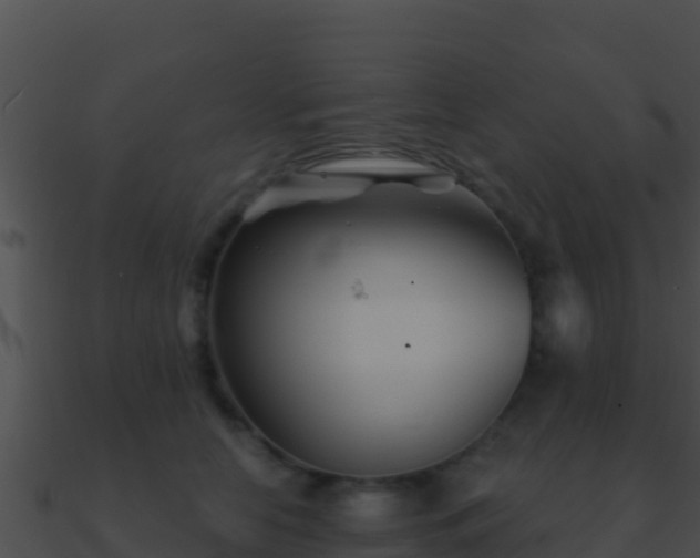 X0000090870658200708031010