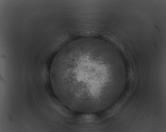 X0000090870659200708031010