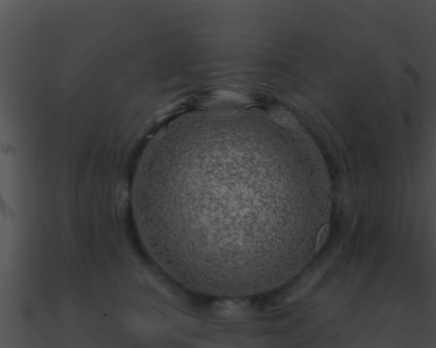 X0000090870660200708031010