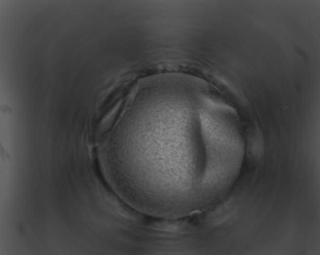 X0000090870661200708031010