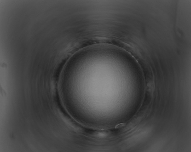 X0000090870662200708031010