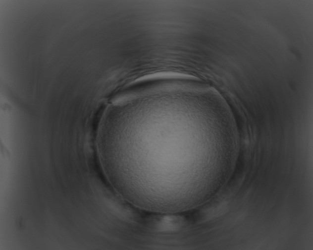 X0000090870663200708031010