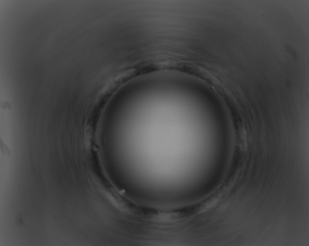 X0000090870664200708031010