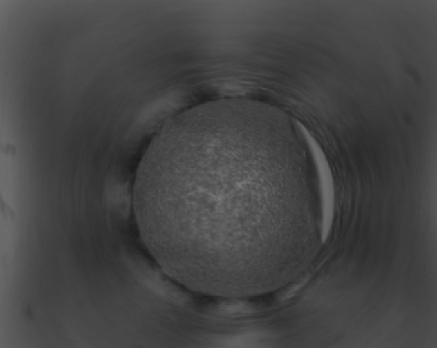 X0000090870666200708031010