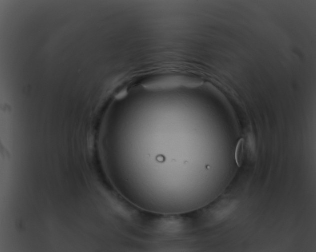 X0000090870668200708031010