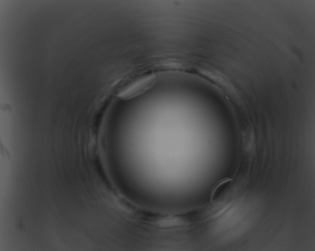 X0000090870669200708031010