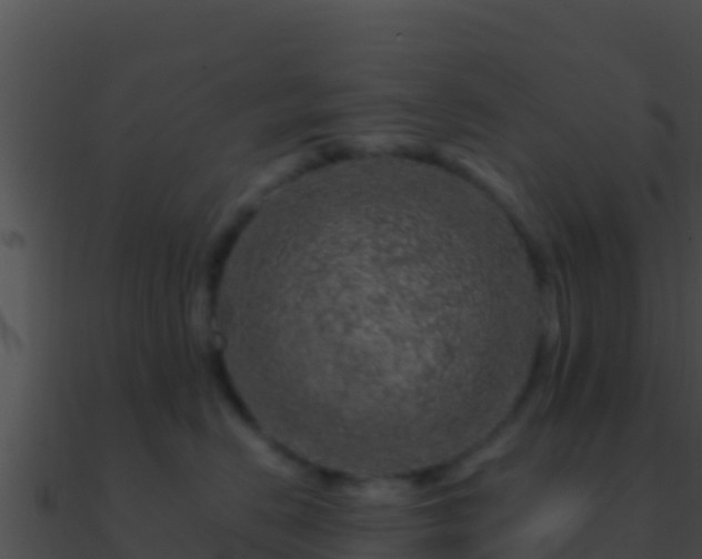 X0000090870670200708031010