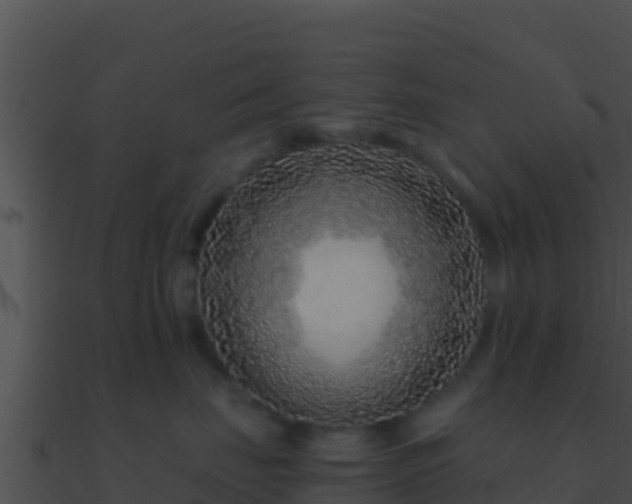 X0000090870671200708031010