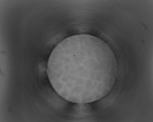 X0000090870672200708031010