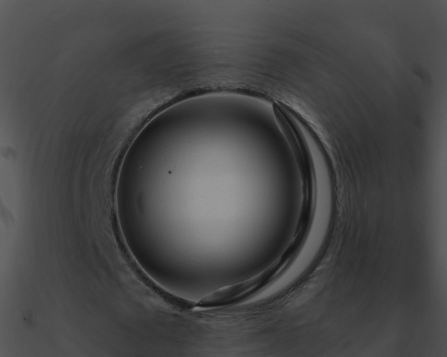 X0000090870673200708031010