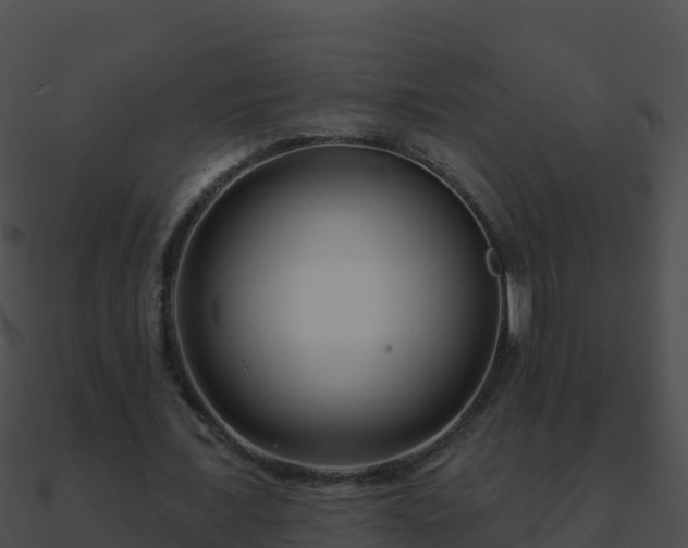 X0000090870675200708031010