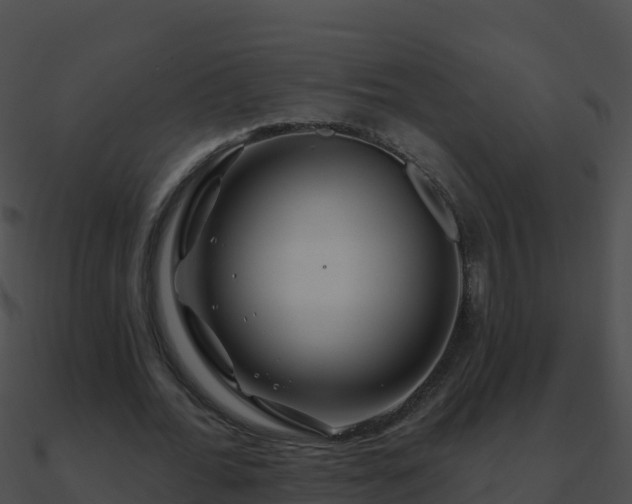 X0000090870676200708031010