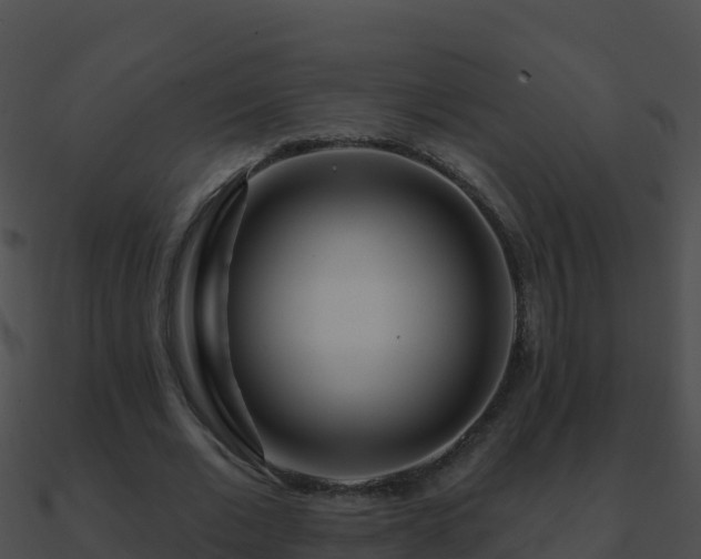 X0000090870677200708031010