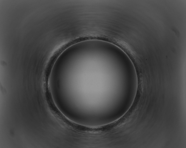 X0000090870680200708031010