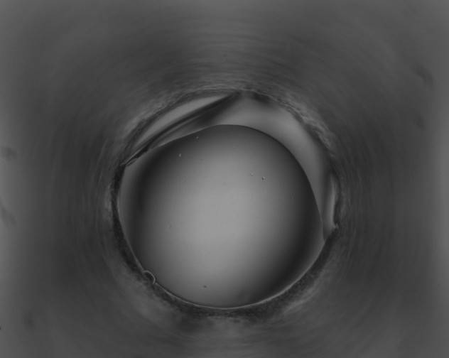 X0000090870681200708031010