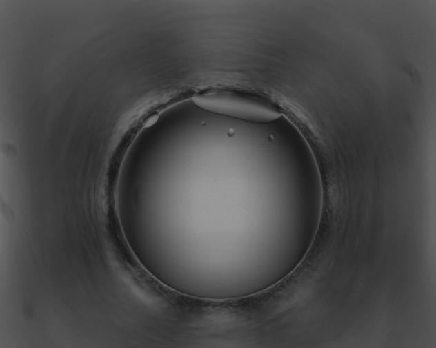 X0000090870682200708031010