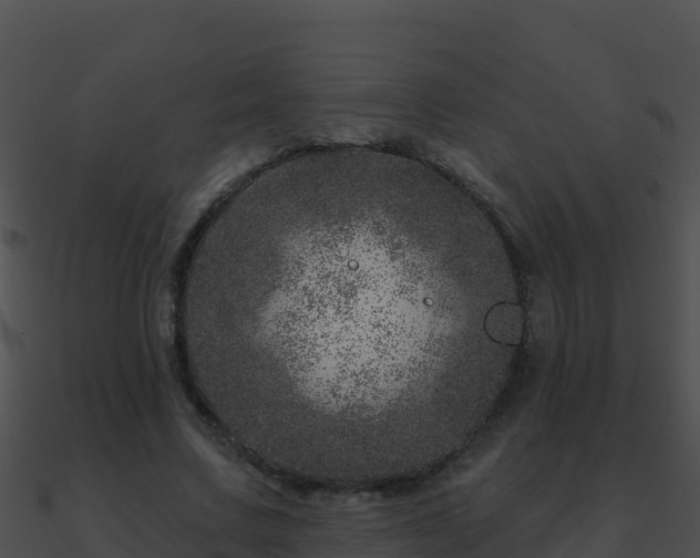 X0000090870683200708031010