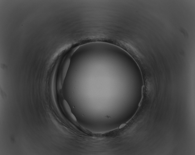 X0000090870684200708031010