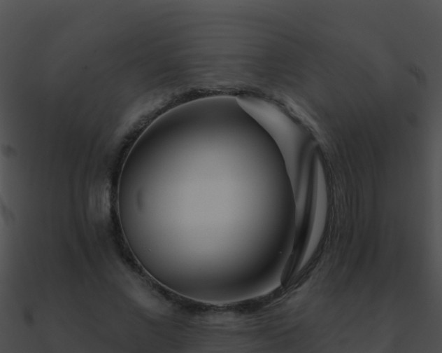 X0000090870685200708031009