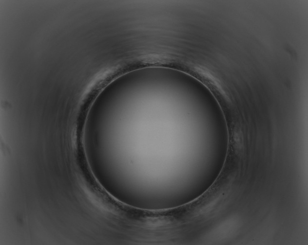 X0000090870686200708031009