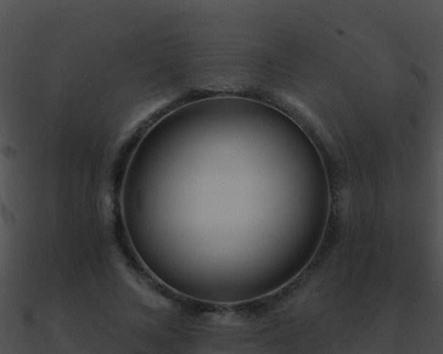 X0000090870688200708031009