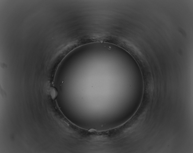 X0000090870689200708031009