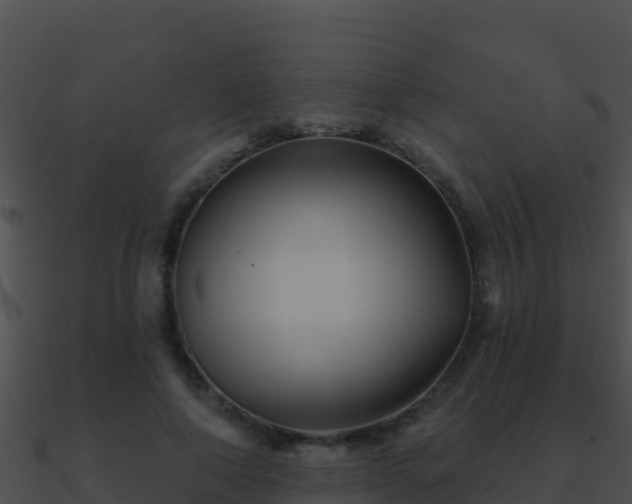 X0000090870690200708031009