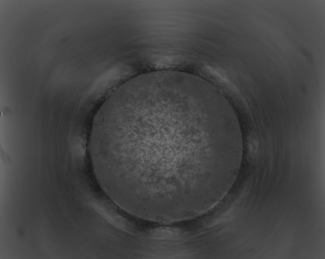 X0000090870691200708031009