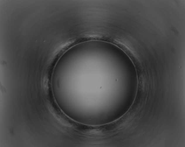 X0000090870692200708031009