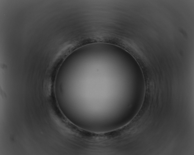 X0000090870694200708031009