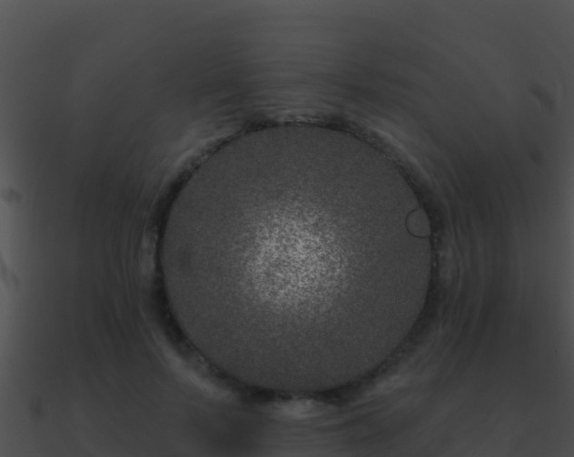 X0000090870695200708031009