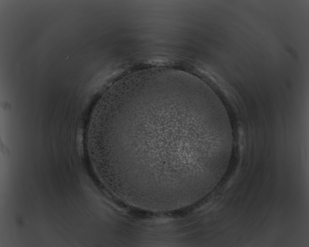 X0000090870696200708031009