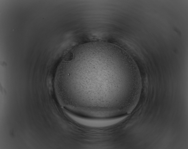 X0000090870699200708031009