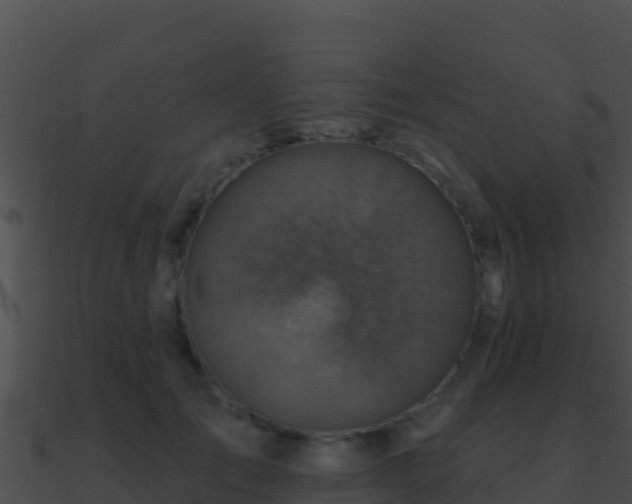 X0000090870701200708031009