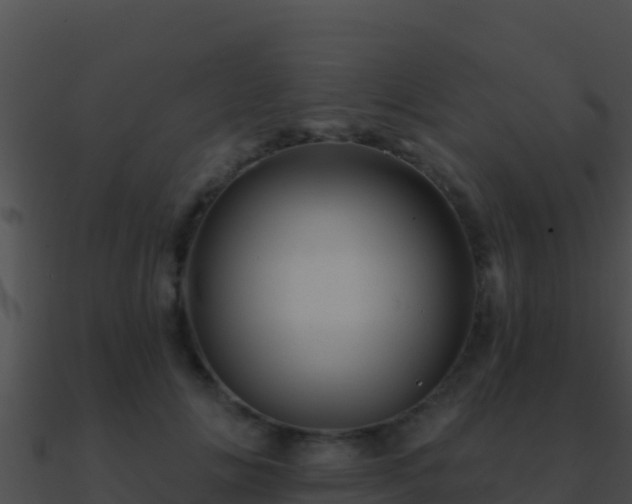 X0000090870702200708031009