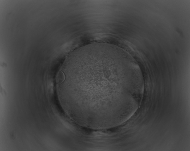 X0000090870703200708031009