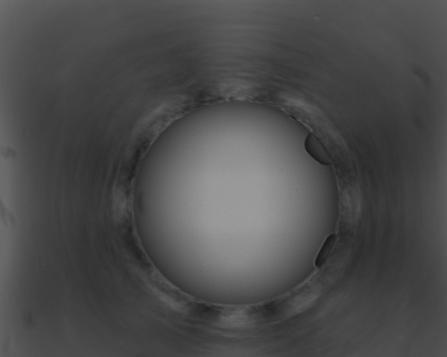 X0000090870705200708031009