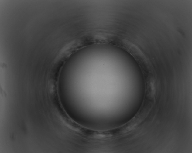 X0000090870706200708031009