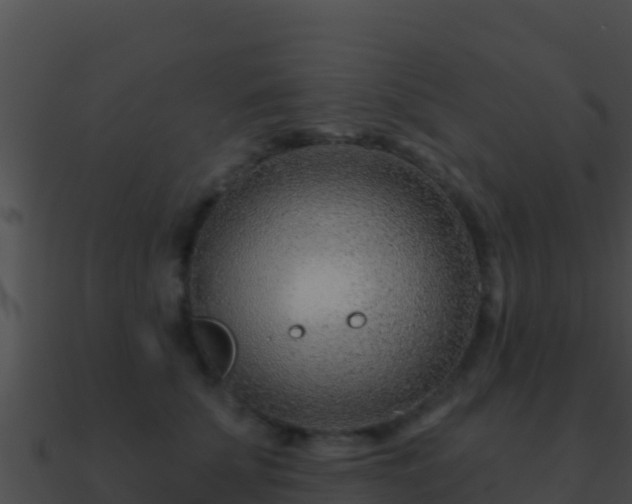 X0000090870707200708031009