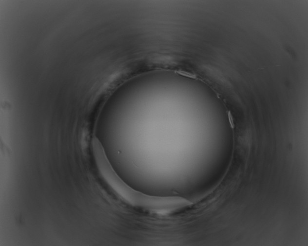 X0000090870708200708031009