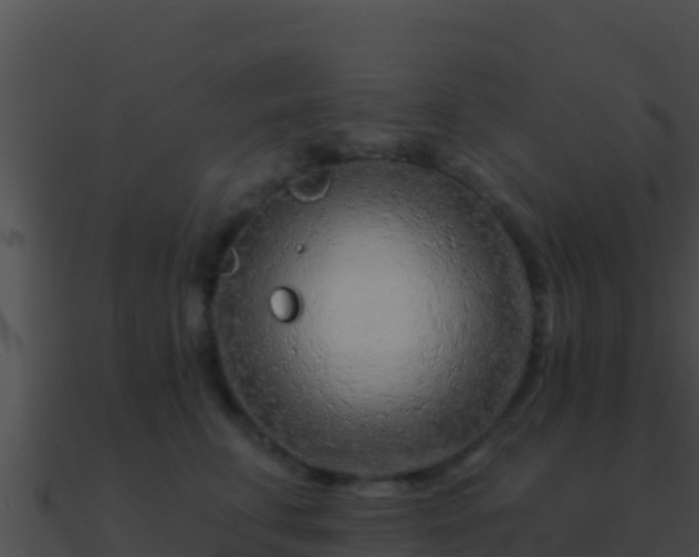 X0000090870711200708031009