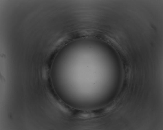 X0000090870712200708031009