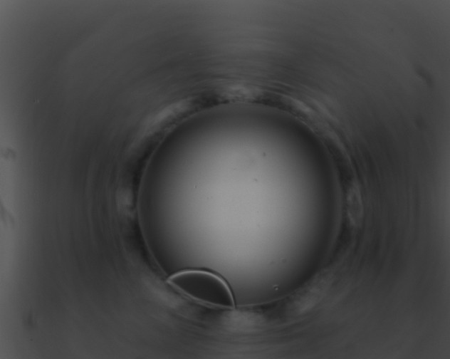 X0000090870714200708031009