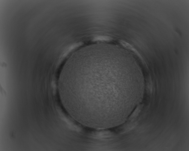 X0000090870716200708031009