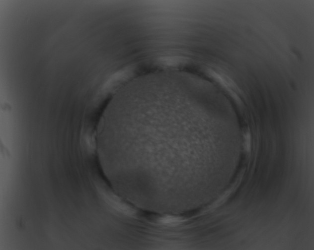 X0000090870718200708031009