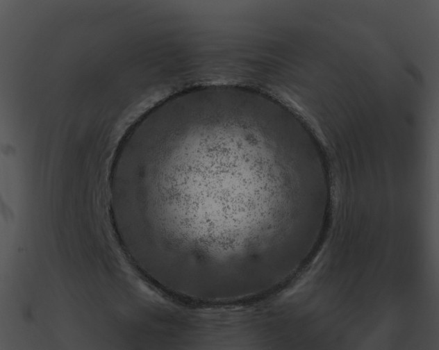 X0000090870721200708031008