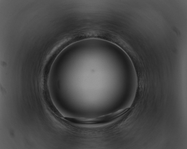 X0000090870722200708031008