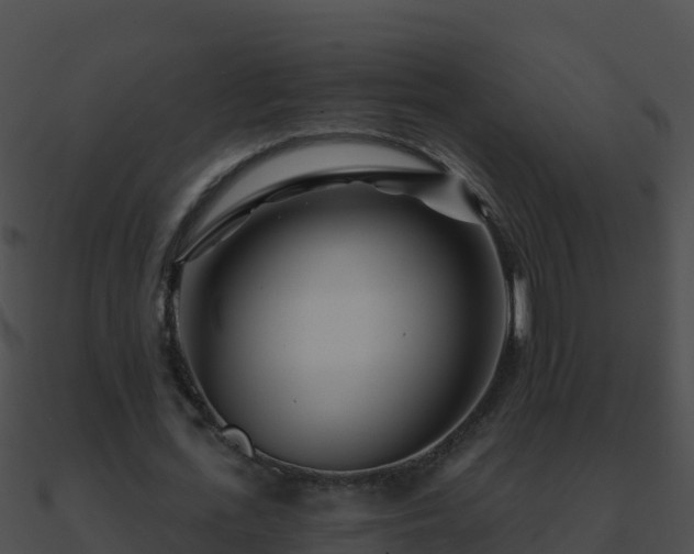 X0000090870723200708031008