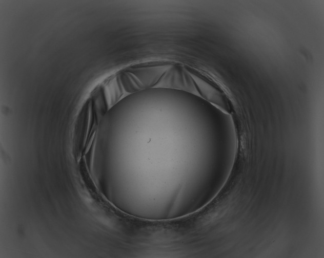 X0000090870724200708031008